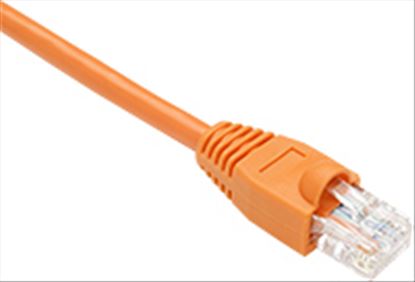 Oncore 1ft, Cat5e, UTP, RJ-45 networking cable Orange 11.8" (0.3 m)1