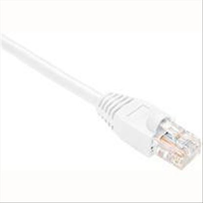 Oncore Cat5e, 20 ft networking cable White 236.2" (6 m)1