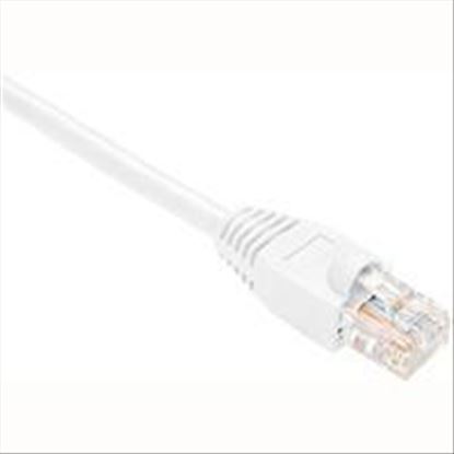 Oncore Cat5e, 40 ft networking cable White 480.3" (12.2 m)1
