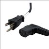 StarTech.com PXT101L10 power cable Black 120.1" (3.05 m) NEMA 5-15P C13 coupler1