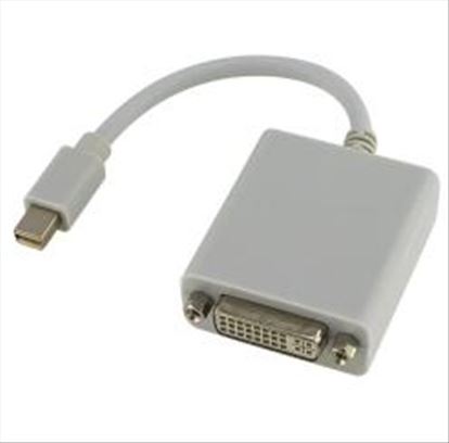 Unirise 6.5" Mini DisplayPort - DVI m/f 6.3" (0.16 m) White1