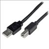 StarTech.com USB2HAB65AC USB cable 787.4" (20 m) USB 2.0 USB A USB B Black2