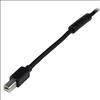 StarTech.com USB2HAB65AC USB cable 787.4" (20 m) USB 2.0 USB A USB B Black4