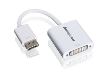 iogear DisplayPort - DVI White1