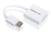 iogear DisplayPort - DVI White3