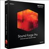 Sony Sound Forge Pro 111