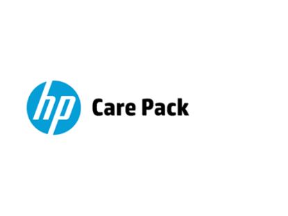 Hewlett Packard Enterprise U4AR1E IT support service1