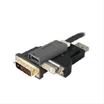 AddOn Networks DisplayPort / DVI 3.05m 5 Pack 120.1" (3.05 m)1