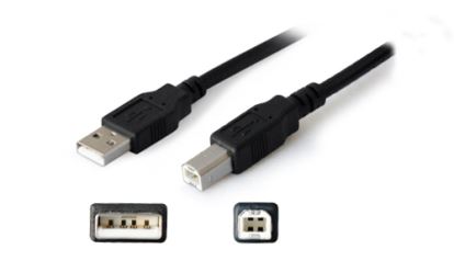 AddOn Networks 6ft USB A - USB B USB cable 70.9" (1.8 m) USB 2.0 Black1