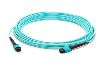 AddOn Networks ADD-MPOMPO-5M5OM4 fiber optic cable 196.9" (5 m) MPO/MTP OM4 Blue1