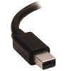 StarTech.com MDP2HD4K60S video cable adapter 5.83" (0.148 m) Mini DisplayPort HDMI Black2