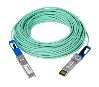 NETGEAR AXC7620 InfiniBand cable 787.4" (20 m) SFP+ Turquoise1