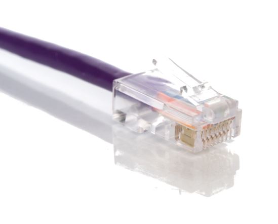 C2G Cat5e, 100ft. networking cable Purple 1200" (30.5 m)1