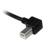 StarTech.com USBAB3ML USB cable 118.1" (3 m) USB 2.0 USB A USB B Black4