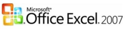 Microsoft Excel, OLV NL, Software Assurance – Acquired Yr 1, 1 license, EN 1 license(s) English1