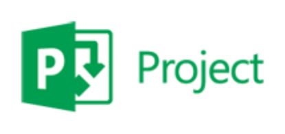 Microsoft Project Professional, 1Y, Level D, Government, Additional Product Government (GOV) 1 year(s)1