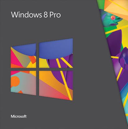 Microsoft Windows Professional 1 license(s) 1 year(s)1