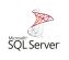 Microsoft SQL Server Standard Core Edition Open Value Subscription (OVS) Multilingual1