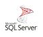 Microsoft SQL Server Standard Core Edition Open License 1 year(s)1