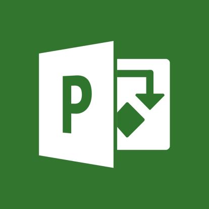 Microsoft Project Professional Client Access License (CAL)1
