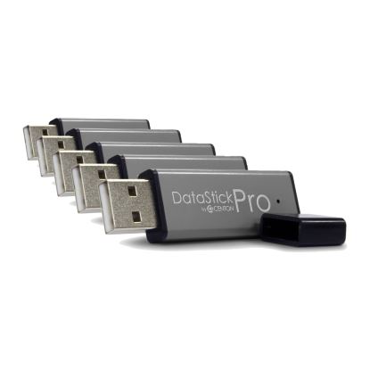 Centon DataStick Pro USB flash drive 16 GB USB Type-A 2.0 Black, Gray1