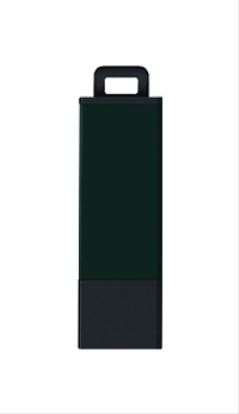 Centon Datastick Pro2 USB flash drive 16 GB USB Type-A 2.0 Green1