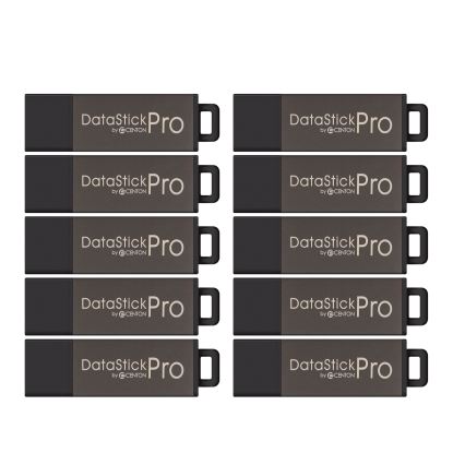 Centon DataStick Pro USB flash drive 2 GB USB Type-A 2.0 Gray1