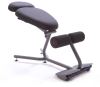 HealthPostures 5050 office/computer chair Padded seat3