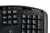 Adesso Tru-Form 4500 keyboard RF Wireless QWERTY English, US English Black9