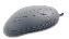 Seal Shield SSM3 mouse USB Type-A Optical 800 DPI1