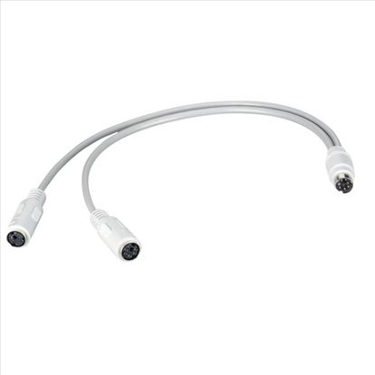 Black Box BC00210 S-video cable 307.1" (7.8 m) S-Video (6-pin) 2x S-Video (6-pin) White1