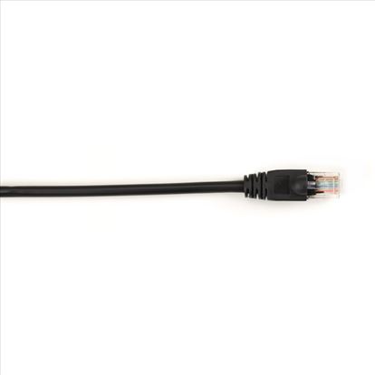 Black Box CAT6 Patch Cable, 6.0m networking cable 236.2" (6 m)1