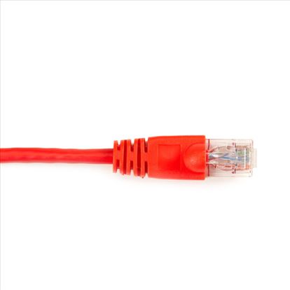 Black Box 6m Cat6 networking cable Red 236.2" (6 m)1