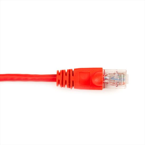 Black Box 6m Cat6 networking cable Red 236.2" (6 m)1