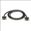 Black Box EVNDVI02-0025 DVI cable 300" (7.62 m) DVI-D1