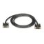 Black Box EVNDVI02-0025 DVI cable 300" (7.62 m) DVI-D1