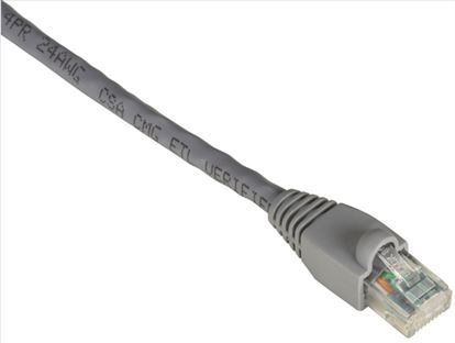 Black Box 0.6m Cat6 UTP 550 MHz networking cable Gray 23.6" (0.6 m) U/UTP (UTP)1