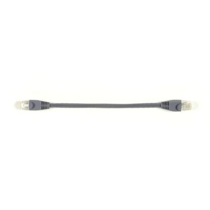 Black Box 6" CAT6 networking cable Gray 4.84" (0.123 m)1