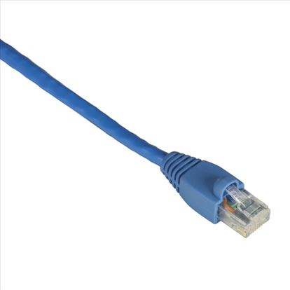 Black Box GigaTrue CAT6 UTP 0.3 m networking cable Blue 11.8" (0.3 m) U/UTP (UTP)1