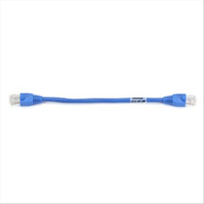 Black Box EVNSL641-06IN networking cable Blue Cat61