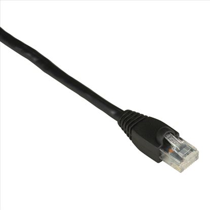 Black Box 0.6m UTP CAT6 networking cable 23.6" (0.6 m) U/UTP (UTP)1