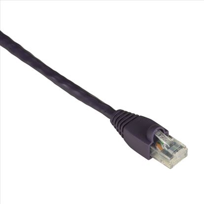 Black Box 0.3m UTP Cat6 networking cable Purple 11.8" (0.3 m) U/UTP (UTP)1