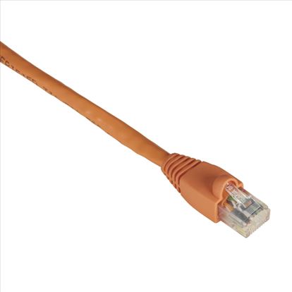 Black Box 0.3m UTP Cat6 networking cable Orange 11.8" (0.3 m) U/UTP (UTP)1