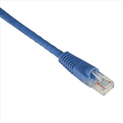 Black Box CAT6 6m networking cable Blue 236.2" (6 m)1