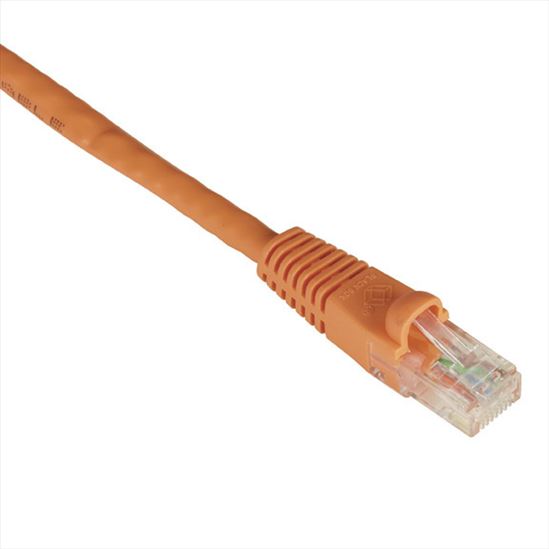 Black Box GigaTrue Cat.6 RJ-45 6m networking cable Orange 236.2" (6 m) Cat6 U/UTP (UTP)1