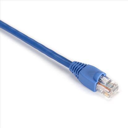 Black Box 4ft Cat5e networking cable Blue 48" (1.22 m) U/UTP (UTP)1