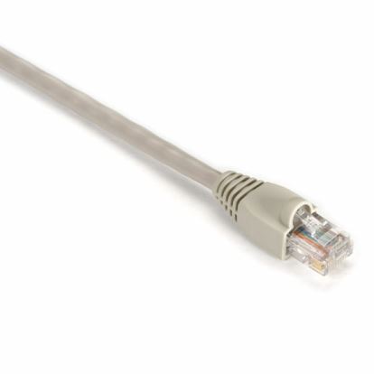 Black Box Cat5e, 30.4m networking cable Beige 1196.9" (30.4 m) U/UTP (UTP)1