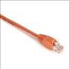 Black Box CAT5E networking cable Orange 35.4" (0.9 m) U/UTP (UTP)1