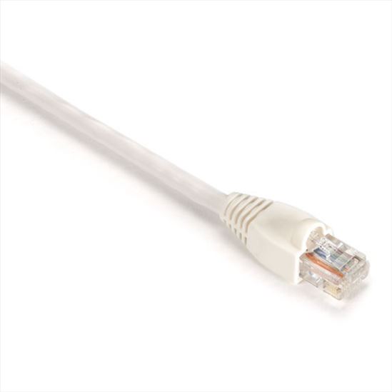 Black Box CAT5e 0.3-m networking cable White 11.8" (0.3 m) U/UTP (UTP)1