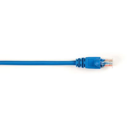 Black Box 10x Value Line Cat5e 10ft networking cable Blue 118.1" (3 m)1